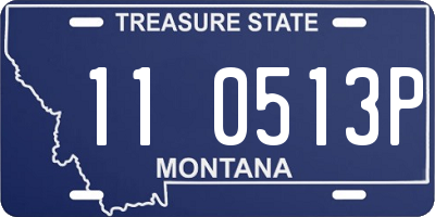 MT license plate 110513P