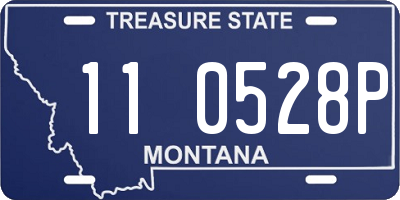 MT license plate 110528P