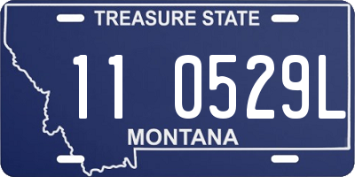 MT license plate 110529L