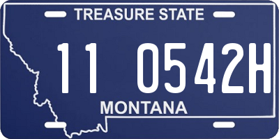 MT license plate 110542H