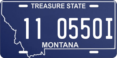 MT license plate 110550I