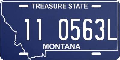 MT license plate 110563L