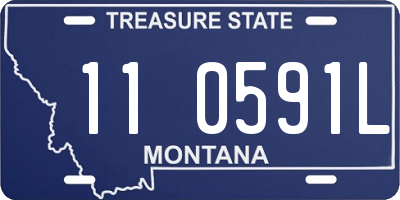 MT license plate 110591L