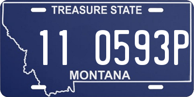 MT license plate 110593P