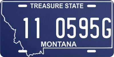 MT license plate 110595G