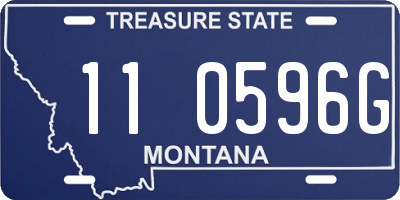 MT license plate 110596G