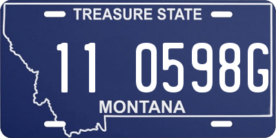 MT license plate 110598G