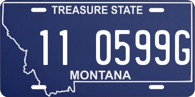 MT license plate 110599G