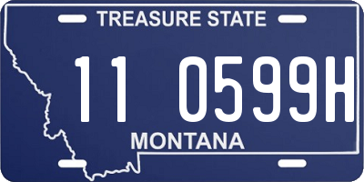 MT license plate 110599H