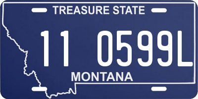 MT license plate 110599L