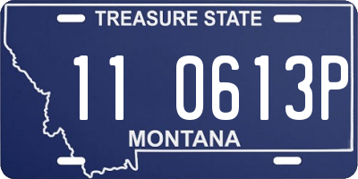 MT license plate 110613P