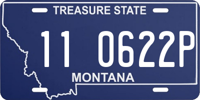 MT license plate 110622P