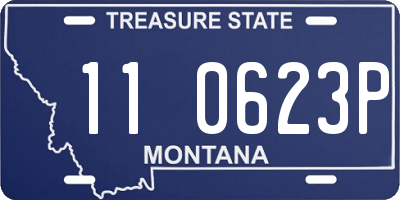 MT license plate 110623P
