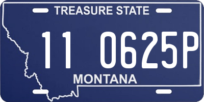 MT license plate 110625P