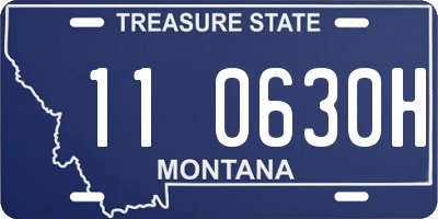 MT license plate 110630H