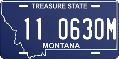 MT license plate 110630M