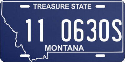 MT license plate 110630S