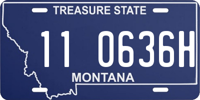 MT license plate 110636H