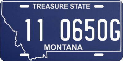 MT license plate 110650G