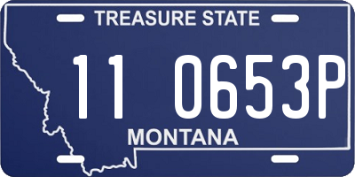 MT license plate 110653P