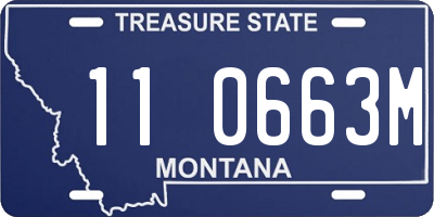 MT license plate 110663M