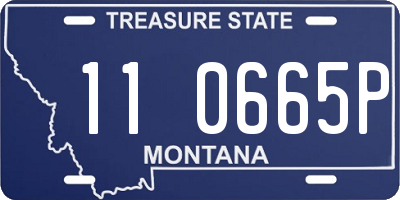 MT license plate 110665P