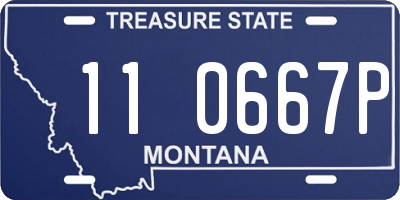 MT license plate 110667P