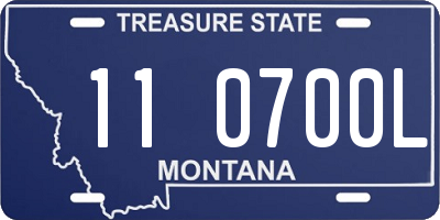 MT license plate 110700L