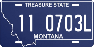 MT license plate 110703L