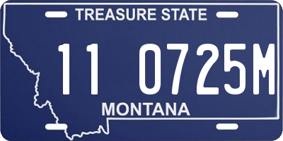 MT license plate 110725M