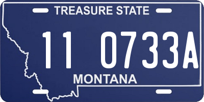 MT license plate 110733A