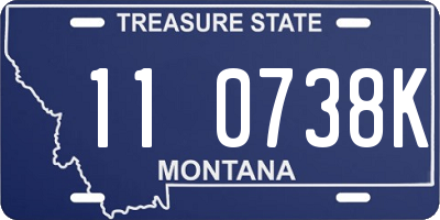 MT license plate 110738K
