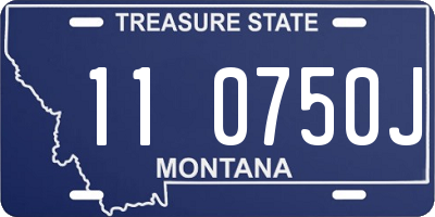 MT license plate 110750J