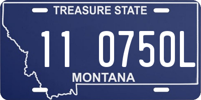 MT license plate 110750L