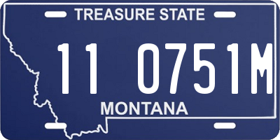 MT license plate 110751M