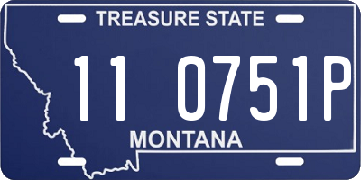 MT license plate 110751P