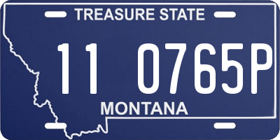 MT license plate 110765P