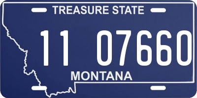 MT license plate 110766O