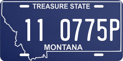 MT license plate 110775P
