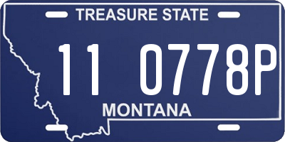 MT license plate 110778P