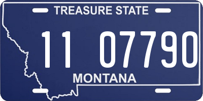 MT license plate 110779O