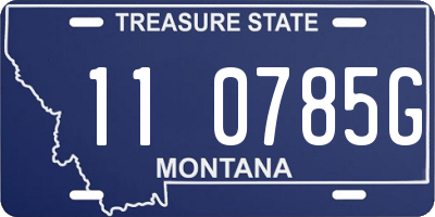 MT license plate 110785G