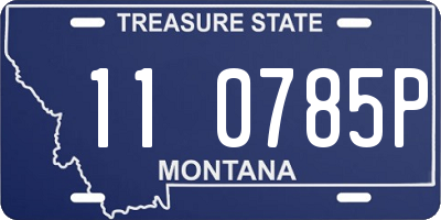 MT license plate 110785P