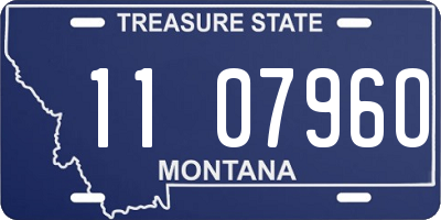 MT license plate 110796O