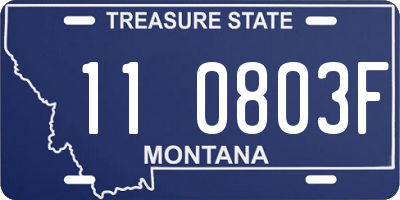 MT license plate 110803F