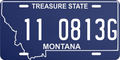 MT license plate 110813G