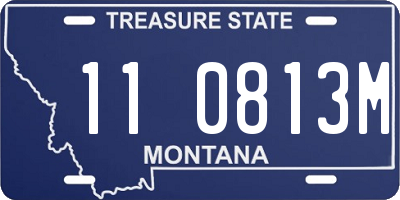 MT license plate 110813M