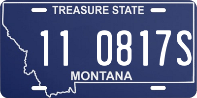 MT license plate 110817S