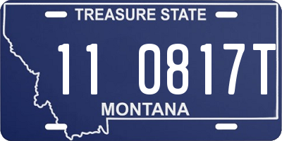 MT license plate 110817T