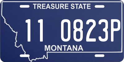 MT license plate 110823P